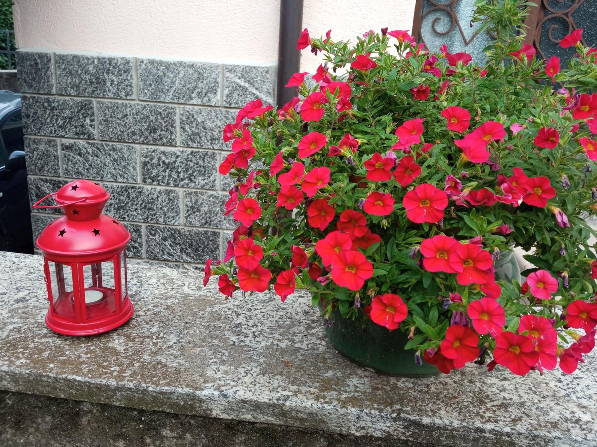 B&B L'Ortensia Vignolo Kültér fotó